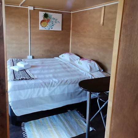 Sol De La Patagonia Bed & Breakfast Puerto Guadal Dış mekan fotoğraf