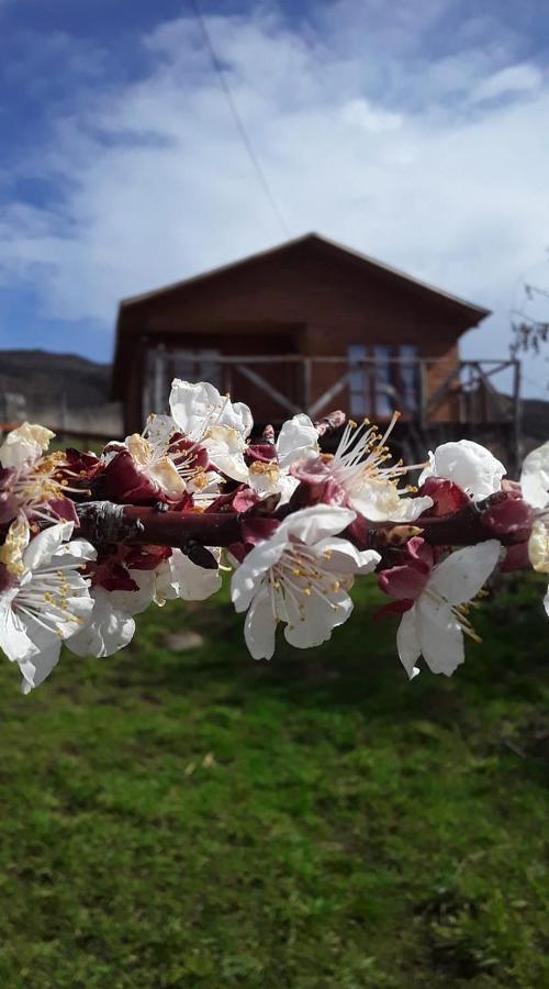 Sol De La Patagonia Bed & Breakfast Puerto Guadal Dış mekan fotoğraf